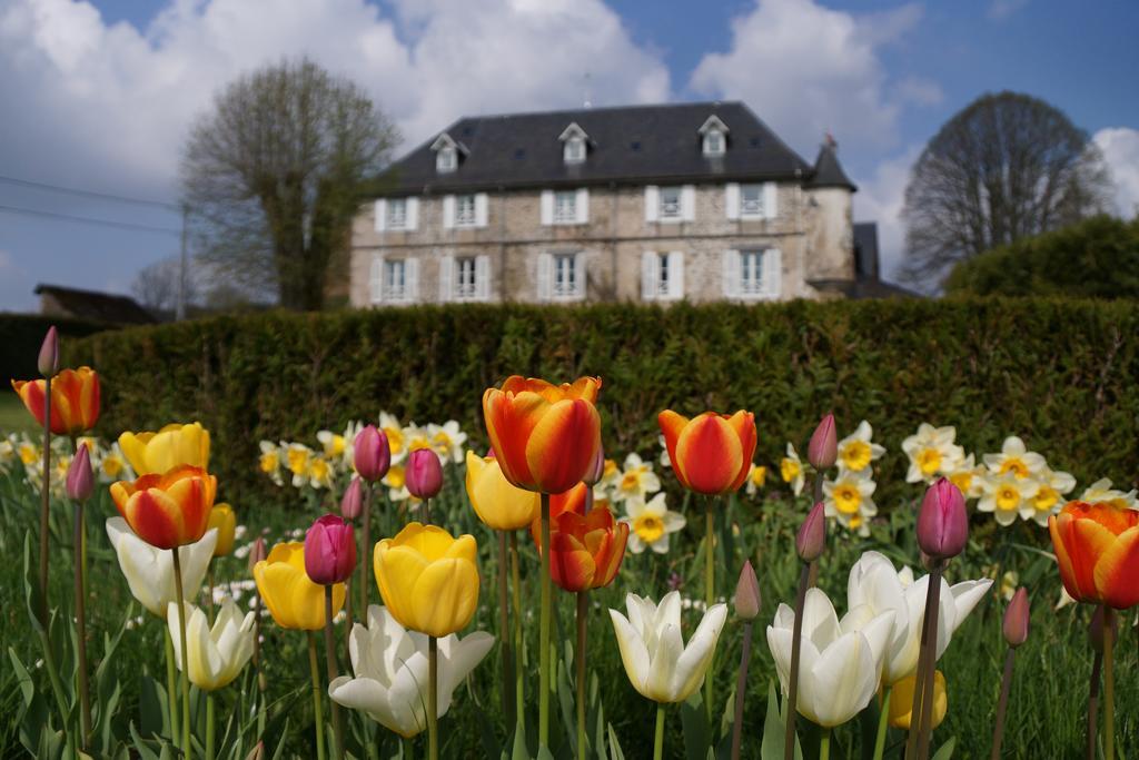 Chateau De Savennes - Caveau De Sabrage Luaran gambar